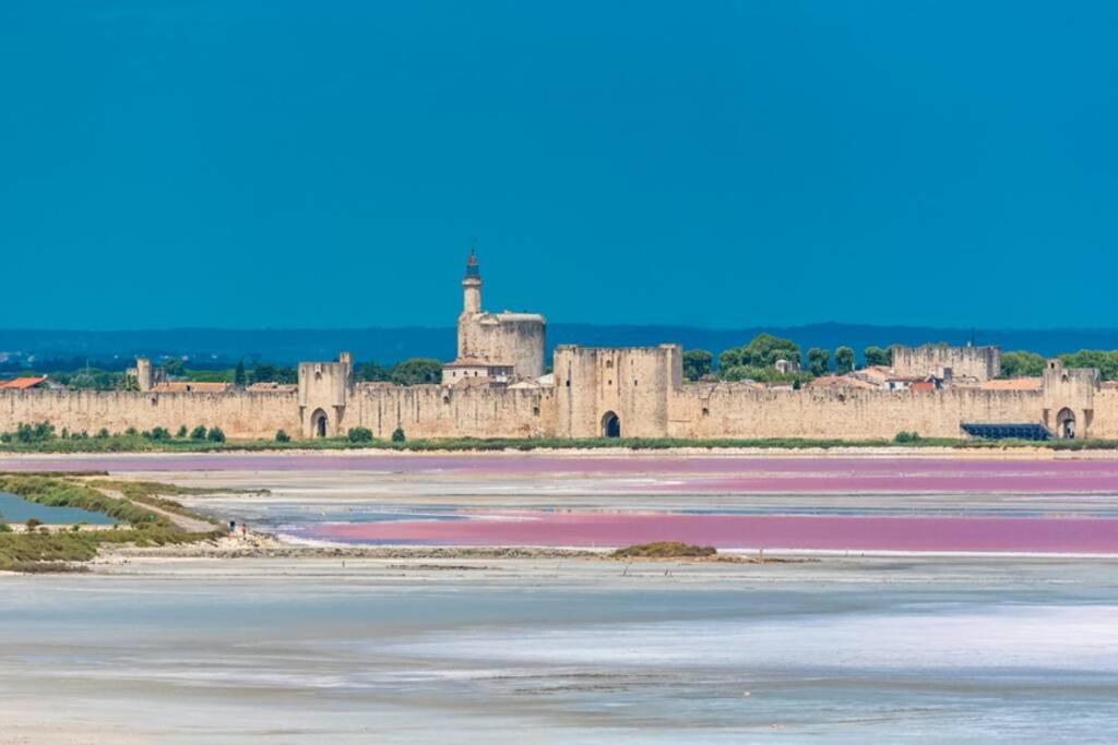 séjour insolite et écologique dans une Tiny house Aigues-Mortes Exterior foto