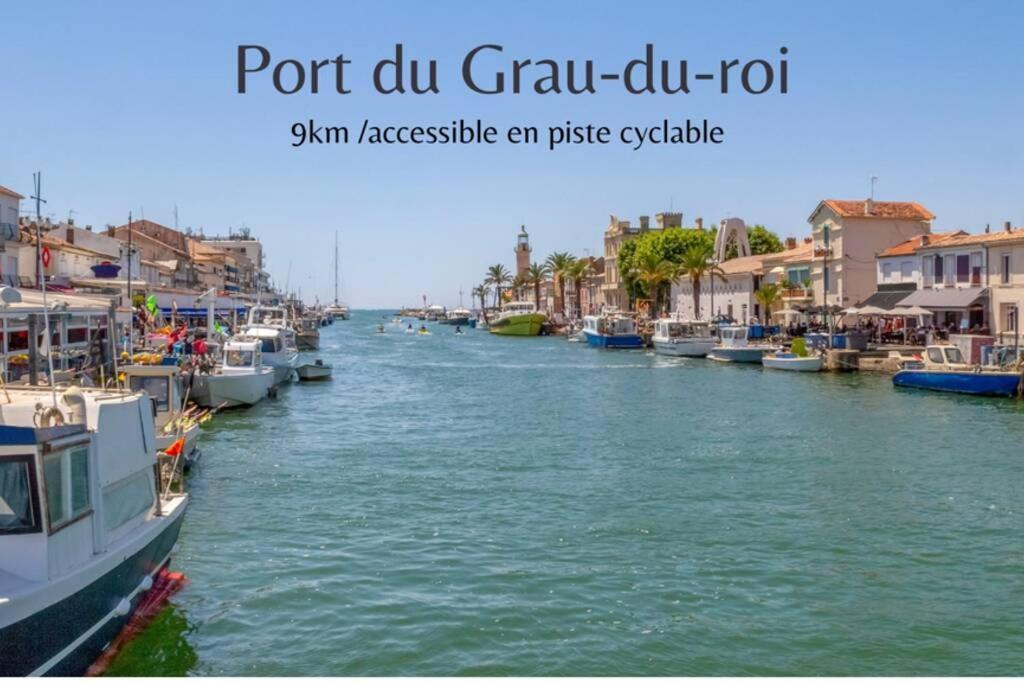 séjour insolite et écologique dans une Tiny house Aigues-Mortes Exterior foto