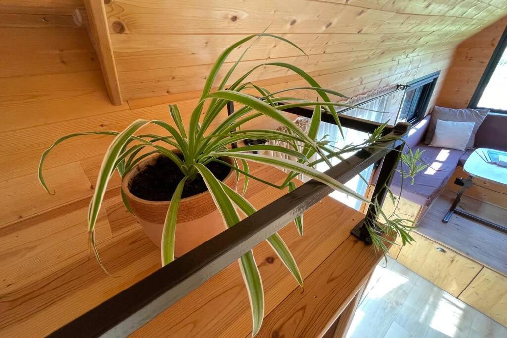 séjour insolite et écologique dans une Tiny house Aigues-Mortes Exterior foto